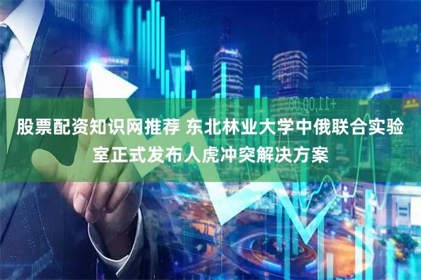 股票配资知识网推荐 东北林业大学中俄联合实验室正式发布人虎冲突解决方案