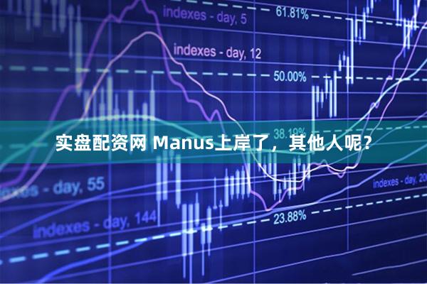 实盘配资网 Manus上岸了，其他人呢？